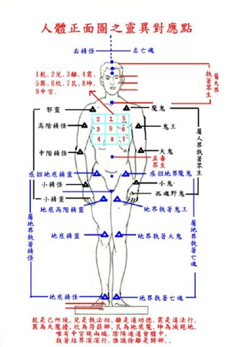 八卦對應身體|易經八卦與人體經絡